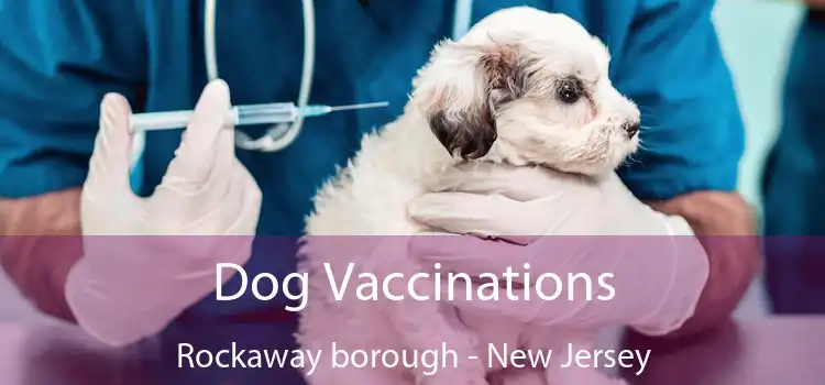 Dog Vaccinations Rockaway borough - New Jersey