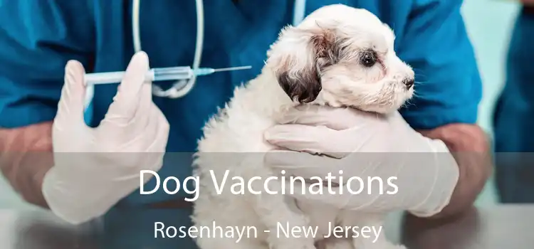 Dog Vaccinations Rosenhayn - New Jersey