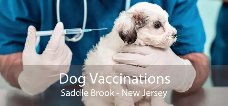 Dog Vaccinations Saddle Brook - New Jersey