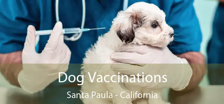Dog Vaccinations Santa Paula - California