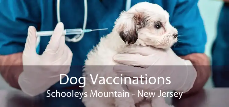 Dog Vaccinations Schooleys Mountain - New Jersey