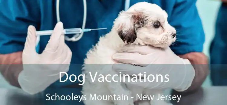 Dog Vaccinations Schooleys Mountain - New Jersey