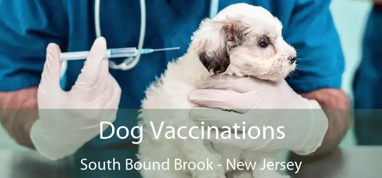 Dog Vaccinations South Bound Brook - New Jersey