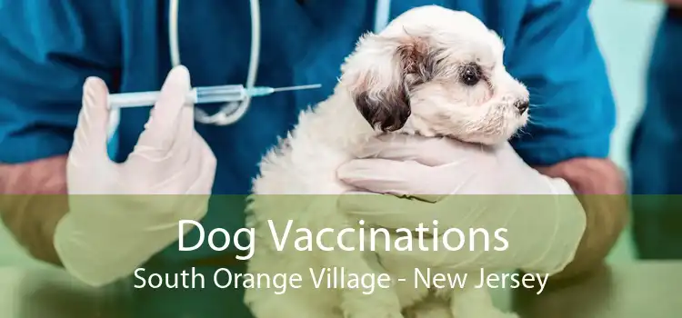 Dog Vaccinations South Orange Village - New Jersey