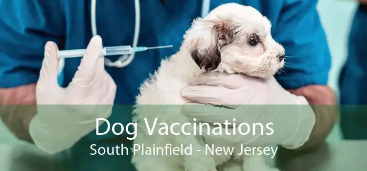 Dog Vaccinations South Plainfield - New Jersey