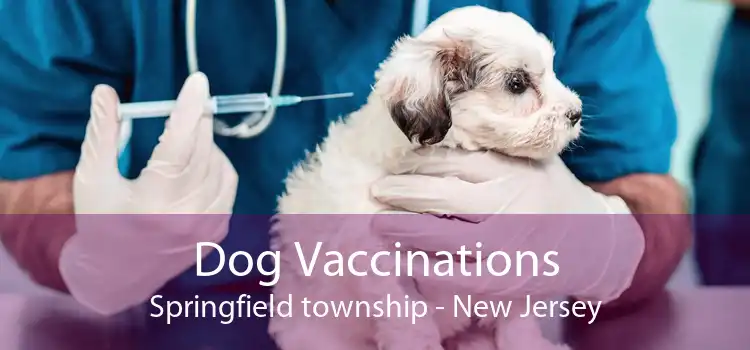 Dog Vaccinations Springfield township - New Jersey