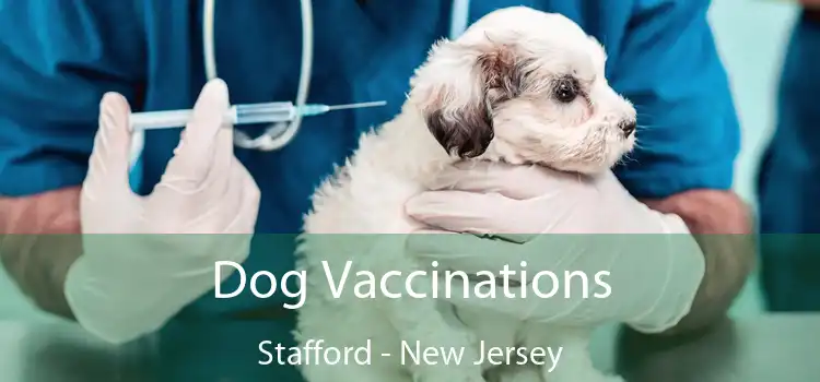 Dog Vaccinations Stafford - New Jersey