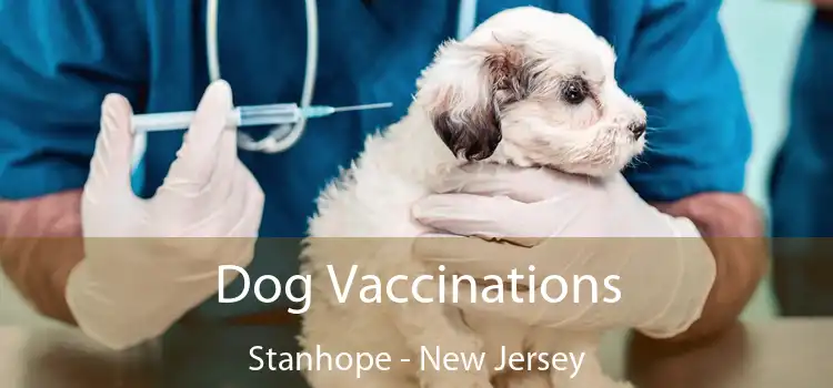Dog Vaccinations Stanhope - New Jersey