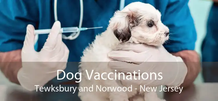 Dog Vaccinations Tewksbury and Norwood - New Jersey