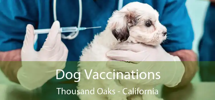 Dog Vaccinations Thousand Oaks - California