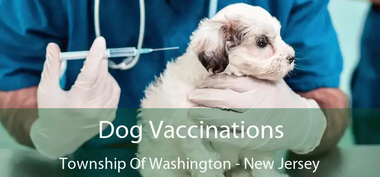Dog Vaccinations Township Of Washington - New Jersey