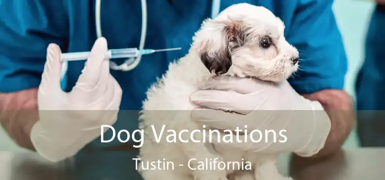 Dog Vaccinations Tustin - California
