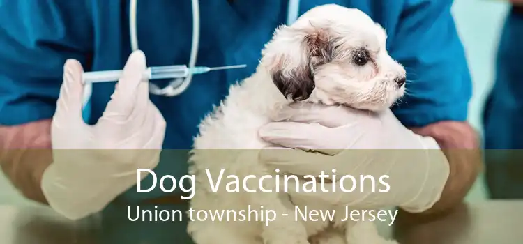 Dog Vaccinations Union township - New Jersey