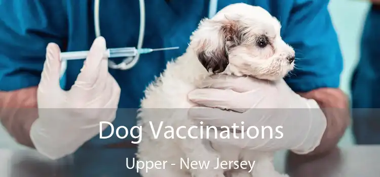 Dog Vaccinations Upper - New Jersey