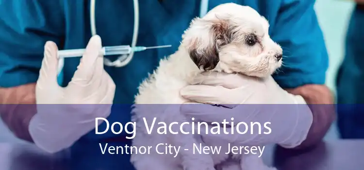 Dog Vaccinations Ventnor City - New Jersey