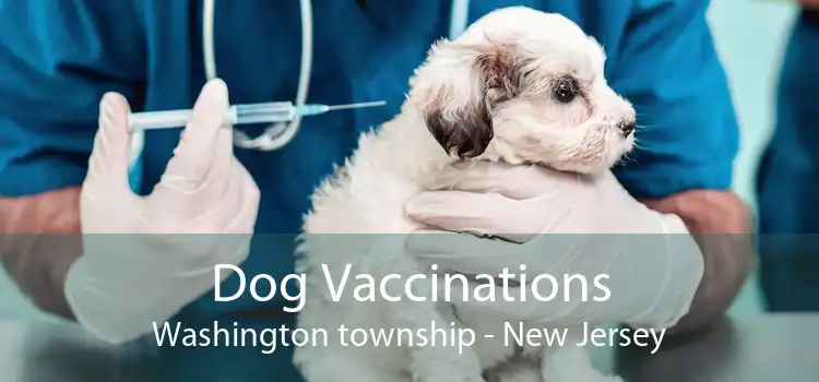 Dog Vaccinations Washington township - New Jersey