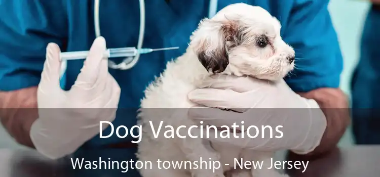 Dog Vaccinations Washington township - New Jersey