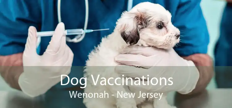 Dog Vaccinations Wenonah - New Jersey