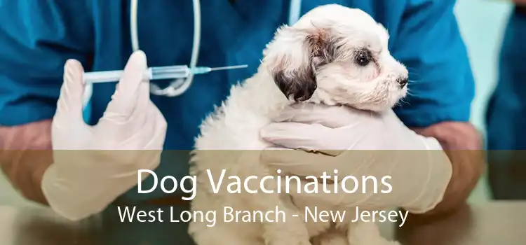 Dog Vaccinations West Long Branch - New Jersey