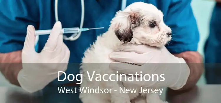 Dog Vaccinations West Windsor - New Jersey