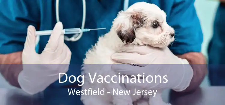 Dog Vaccinations Westfield - New Jersey