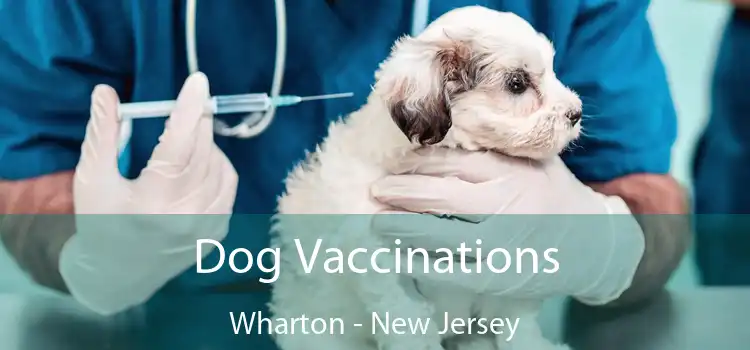 Dog Vaccinations Wharton - New Jersey
