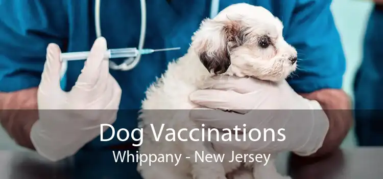 Dog Vaccinations Whippany - New Jersey