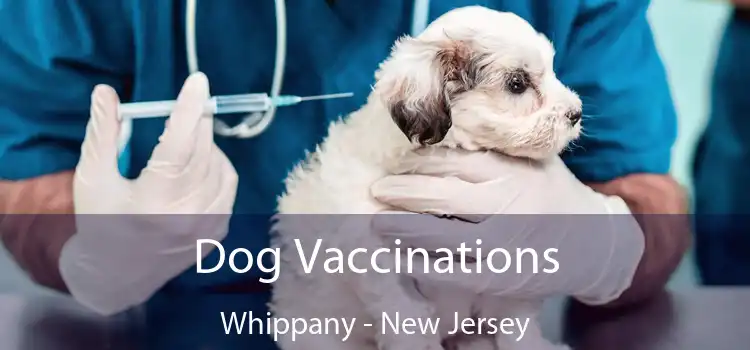 Dog Vaccinations Whippany - New Jersey