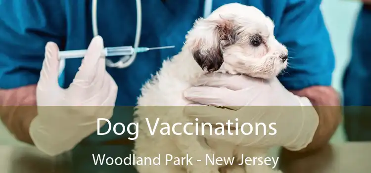 Dog Vaccinations Woodland Park - New Jersey
