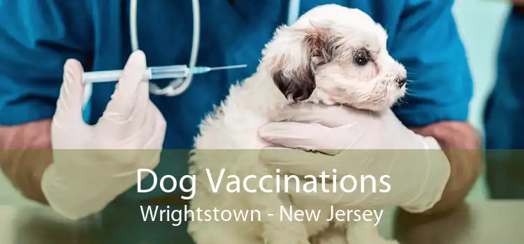 Dog Vaccinations Wrightstown - New Jersey