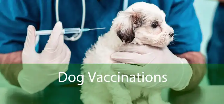 Dog Vaccinations 
