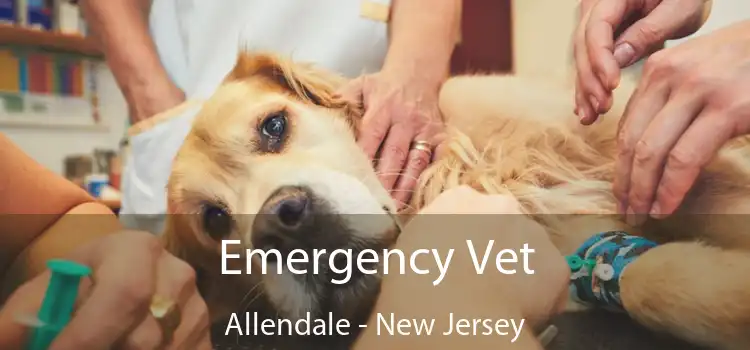 Emergency Vet Allendale - New Jersey