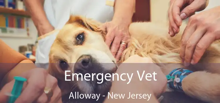 Emergency Vet Alloway - New Jersey