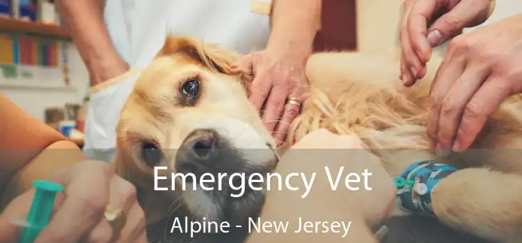 Emergency Vet Alpine - New Jersey