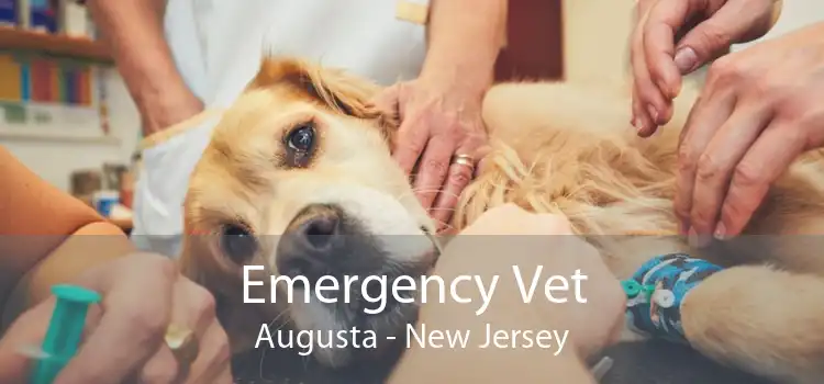 Emergency Vet Augusta - New Jersey