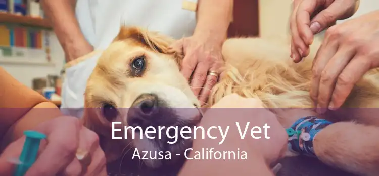 Emergency Vet Azusa - California
