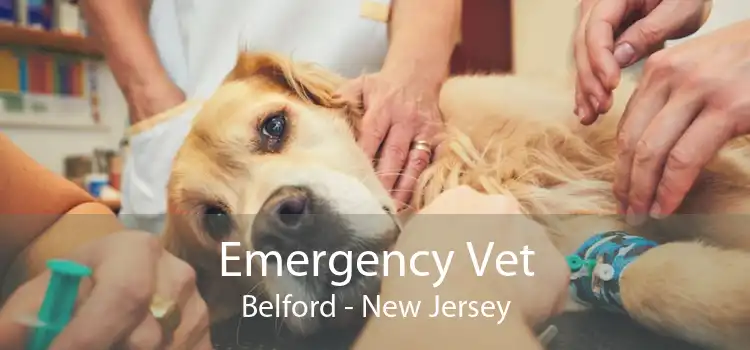 Emergency Vet Belford - New Jersey