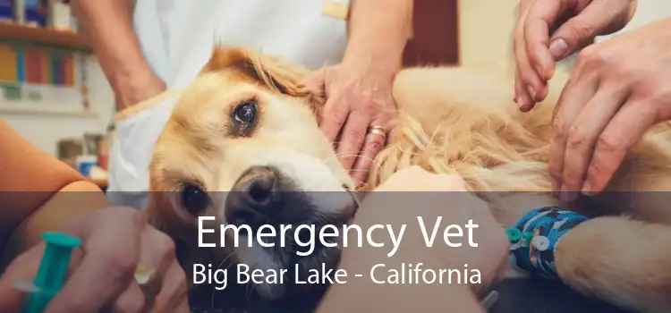 Emergency Vet Big Bear Lake - California