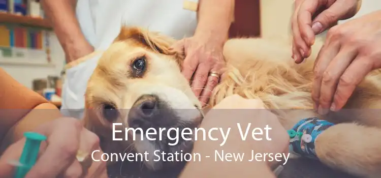 Emergency Vet Convent Station - New Jersey