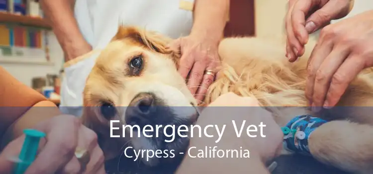 Emergency Vet Cyrpess - California