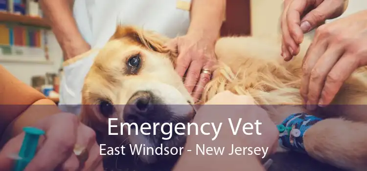 Emergency Vet East Windsor - New Jersey
