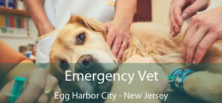 Emergency Vet Egg Harbor City - New Jersey