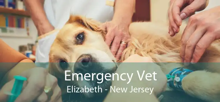 Emergency Vet Elizabeth - New Jersey
