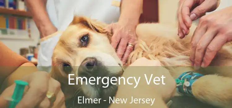 Emergency Vet Elmer - New Jersey