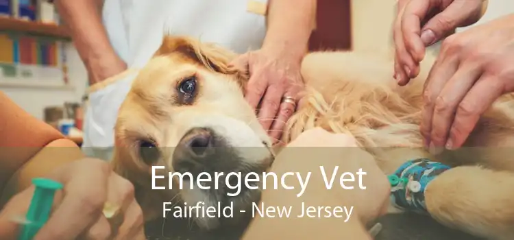 Emergency Vet Fairfield - New Jersey