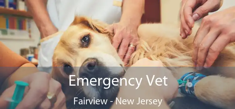 Emergency Vet Fairview - New Jersey