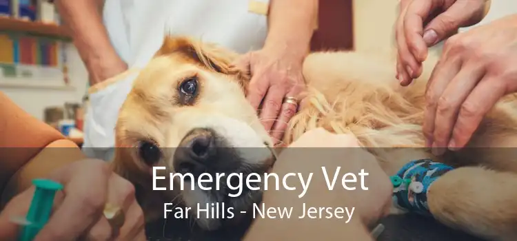 Emergency Vet Far Hills - New Jersey