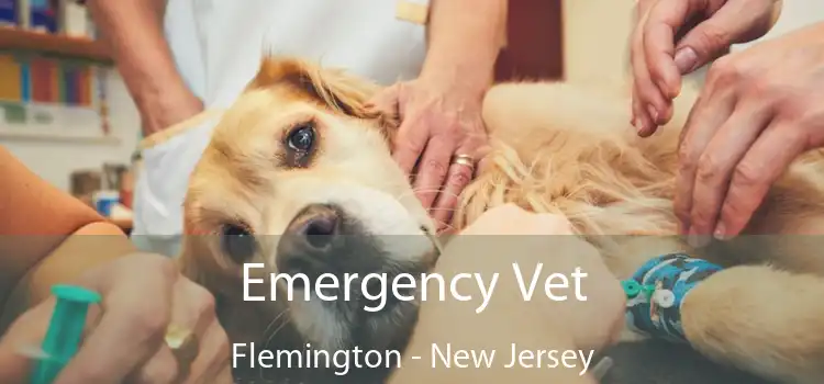 Emergency Vet Flemington - New Jersey