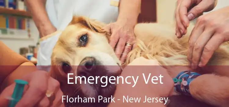 Emergency Vet Florham Park - New Jersey