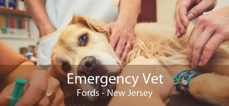 Emergency Vet Fords - New Jersey